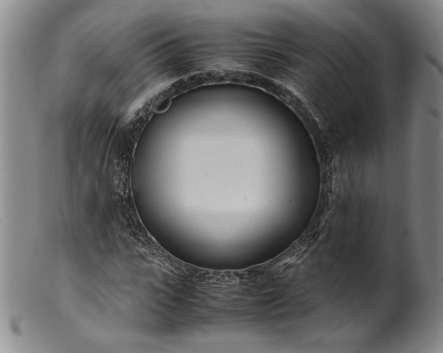 X0000099430919200805231649