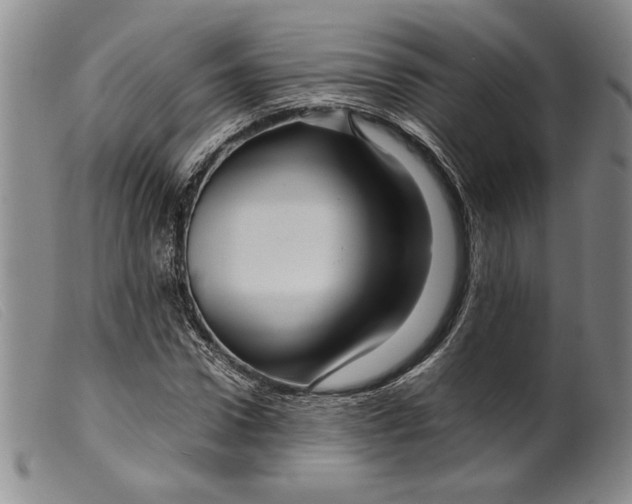 X0000099430922200805231649