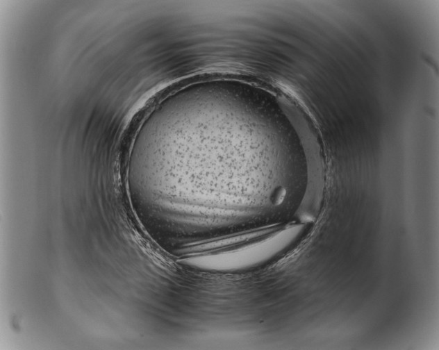 X0000099430923200805231649