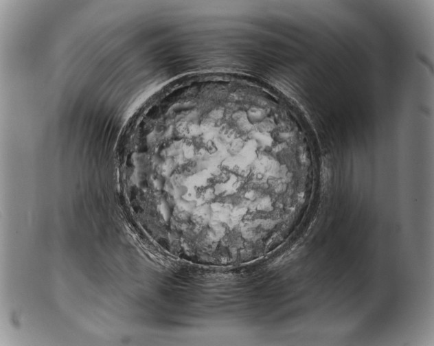 X0000099430925200805231649