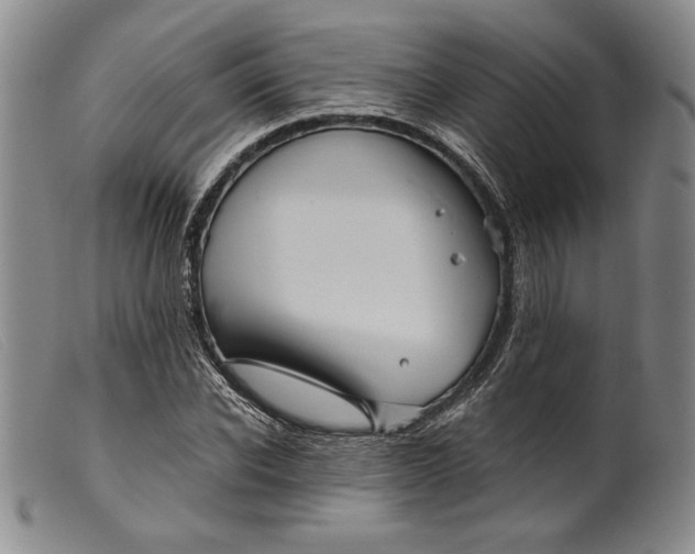 X0000099430926200805231649