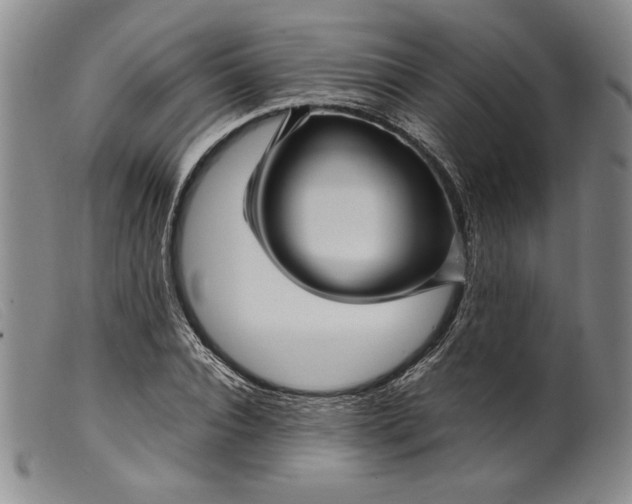 X0000099430928200805231650
