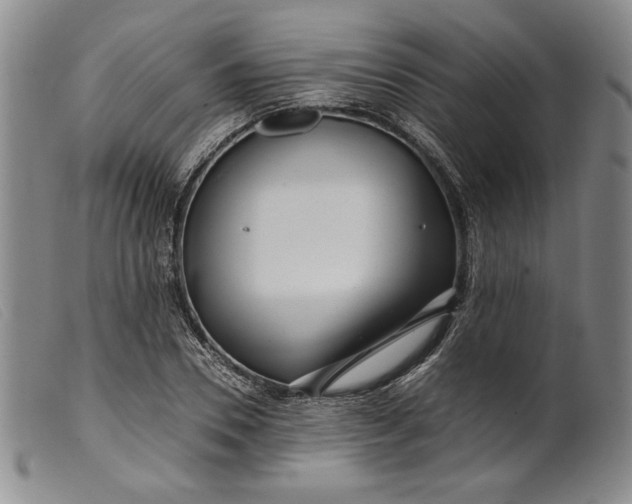 X0000099430930200805231650
