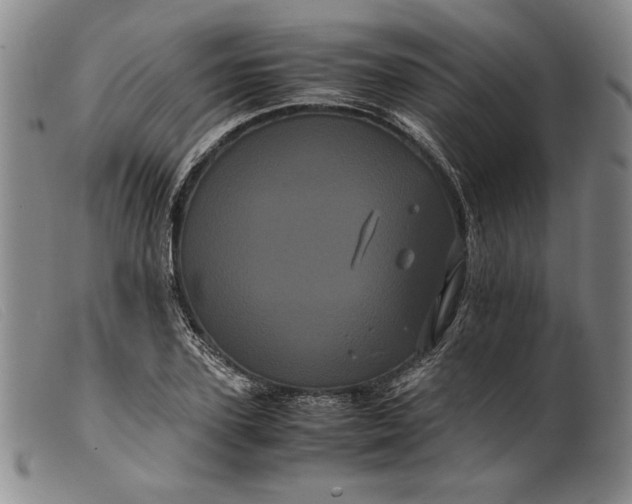 X0000099430931200805231650