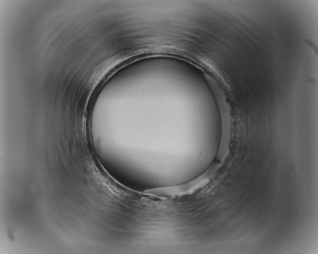 X0000099430932200805231650