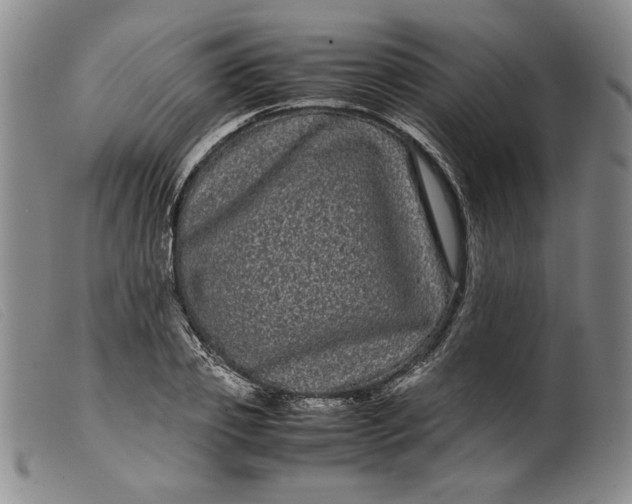 X0000099430933200805231650