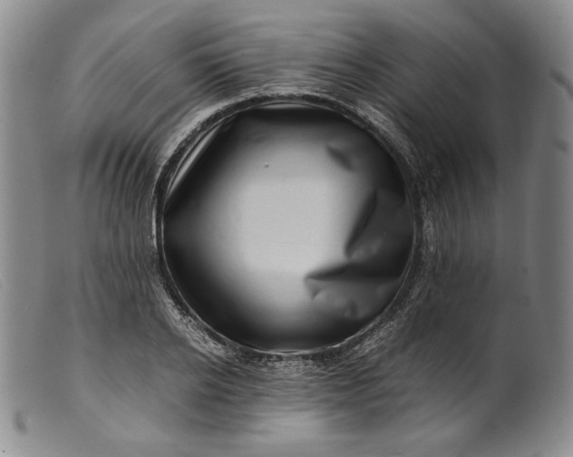 X0000099430934200805231650
