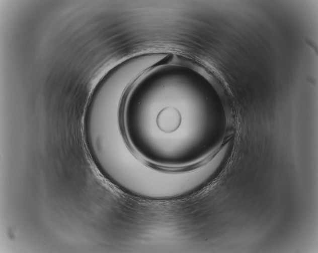 X0000099430936200805231650