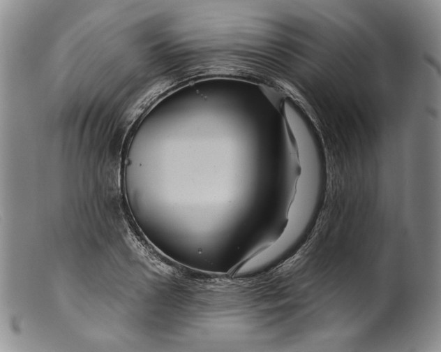 X0000099430938200805231650