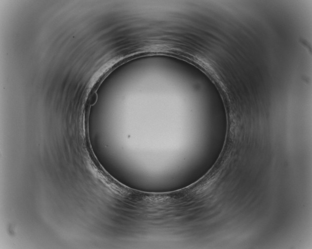 X0000099430939200805231650