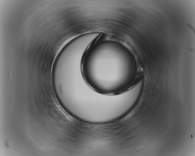 X0000099430940200805231650