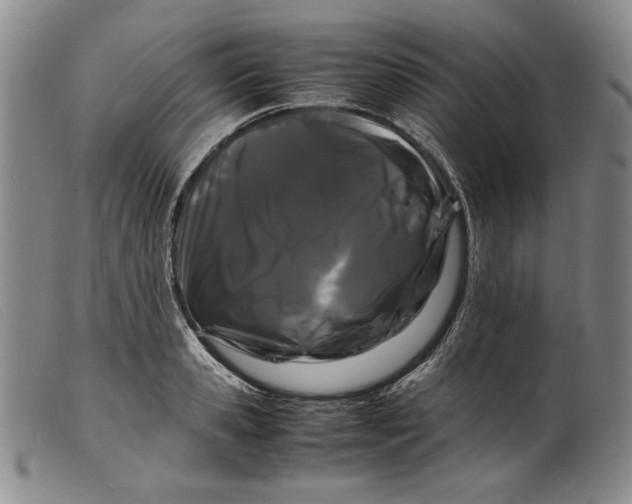 X0000099430941200805231650