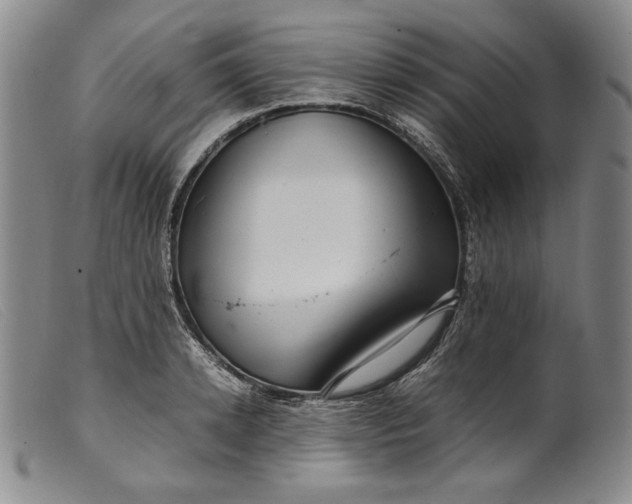 X0000099430942200805231650