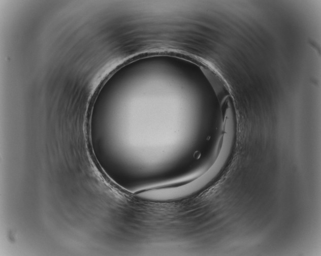 X0000099430943200805231650