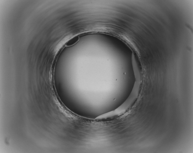 X0000099430944200805231650