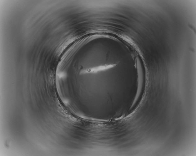 X0000099430945200805231650
