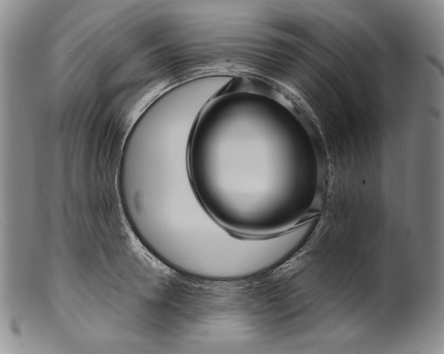 X0000099430946200805231650