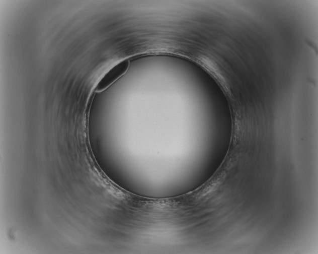 X0000099430948200805231650
