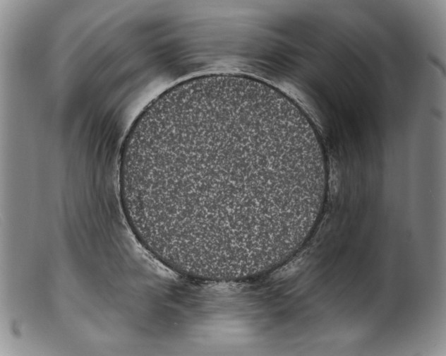 X0000099430950200805231650