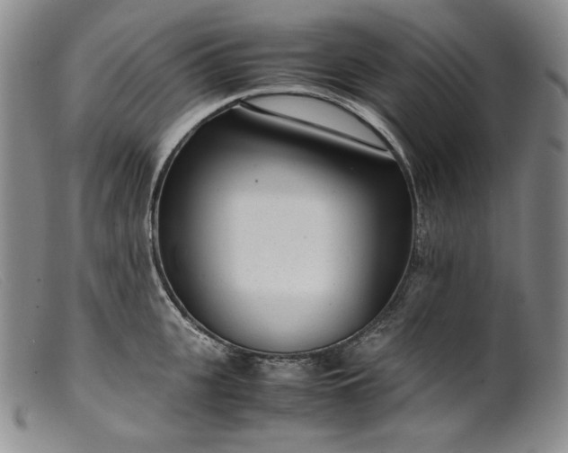 X0000099430951200805231650
