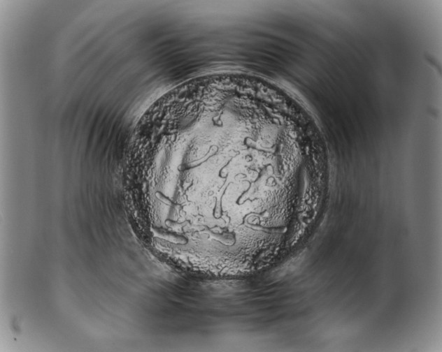 X0000099430953200805231650