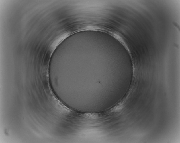 X0000099430954200805231650