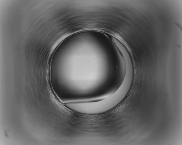X0000099430955200805231650