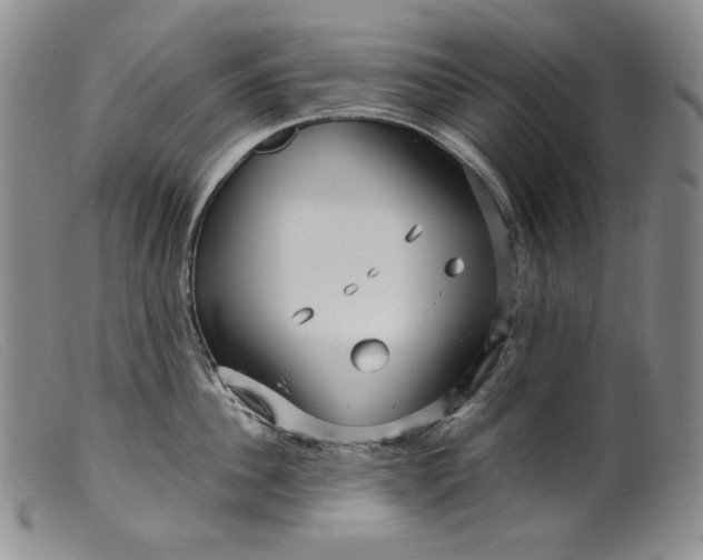 X0000099430956200805231650