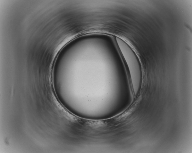 X0000099430957200805231650