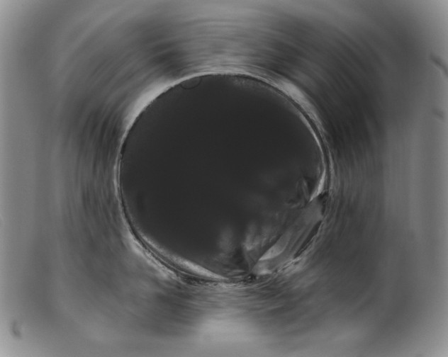 X0000099430958200805231650