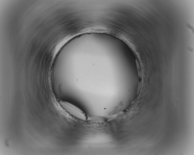 X0000099430960200805231650