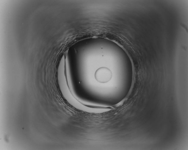X0000099430961200805231649