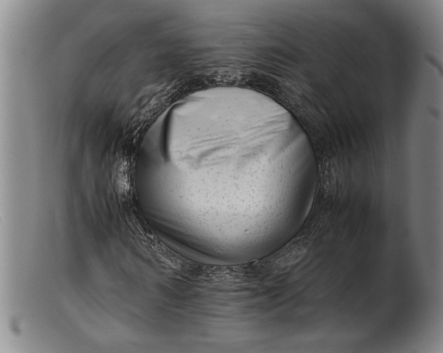 X0000099430962200805231649