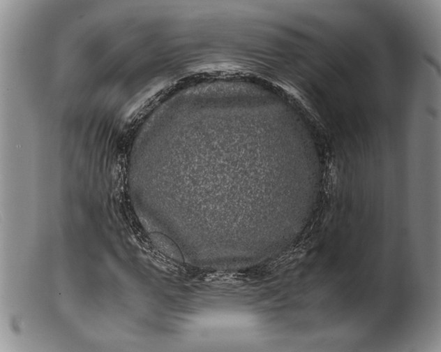 X0000099430967200805231649