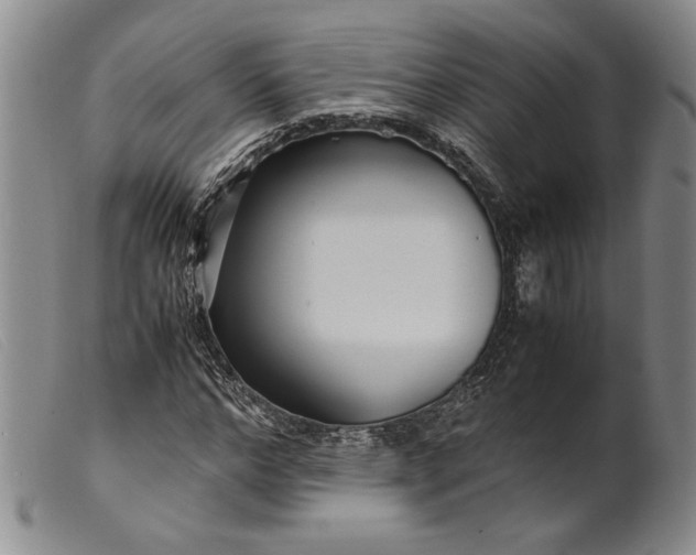 X0000099430968200805231649