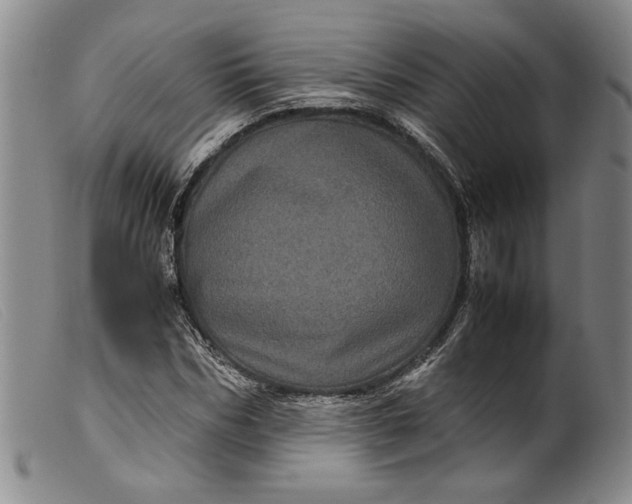 X0000099430970200805231649