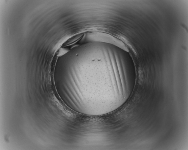 X0000099430972200805231649
