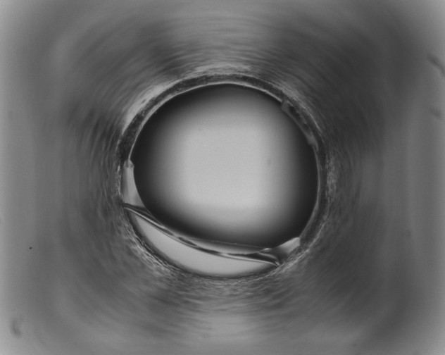 X0000099430973200805231649