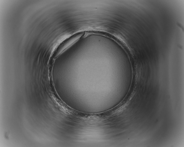 X0000099430974200805231649