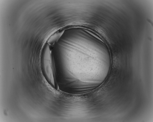 X0000099430976200805231649