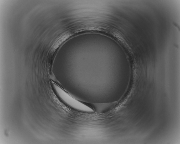 X0000099430977200805231649