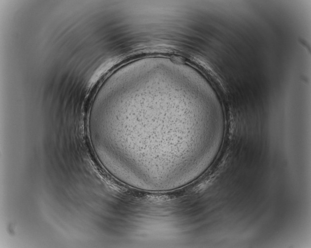 X0000099430978200805231649