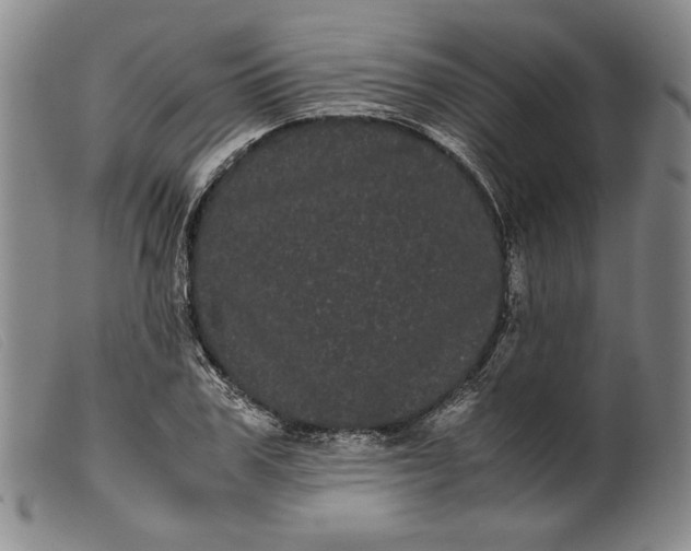 X0000099430979200805231649