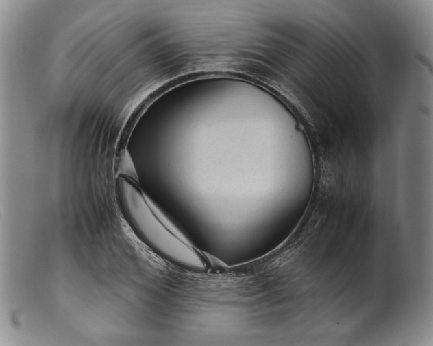 X0000099430980200805231649