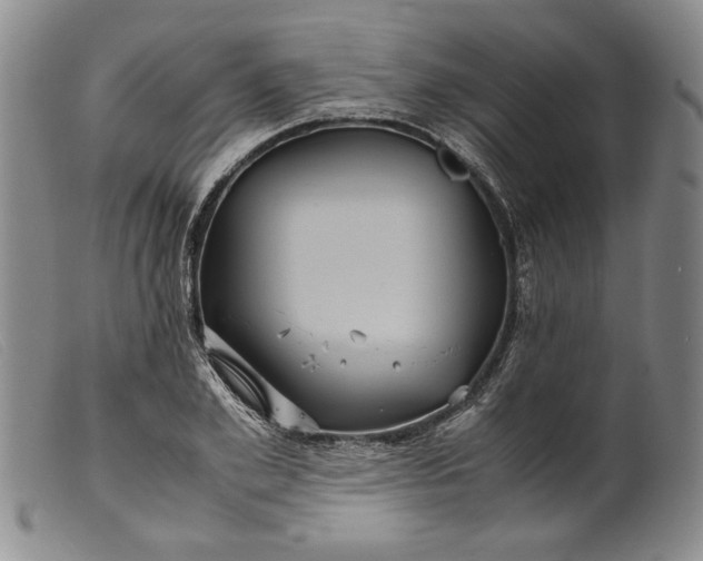 X0000099430981200805231649