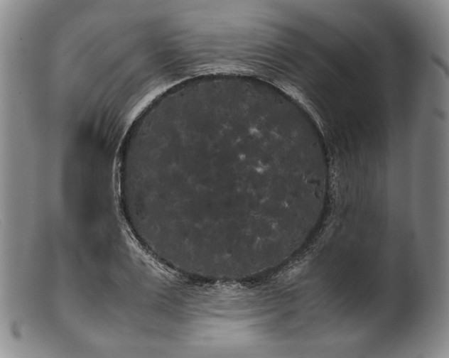 X0000099430983200805231649