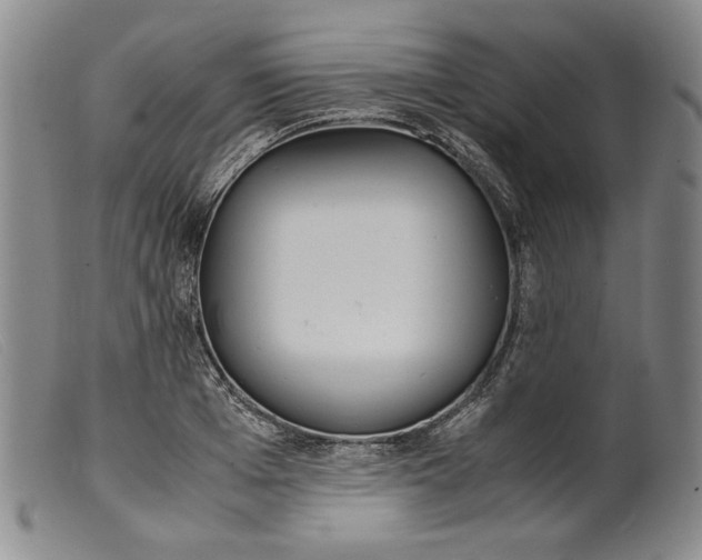 X0000099430985200805231649