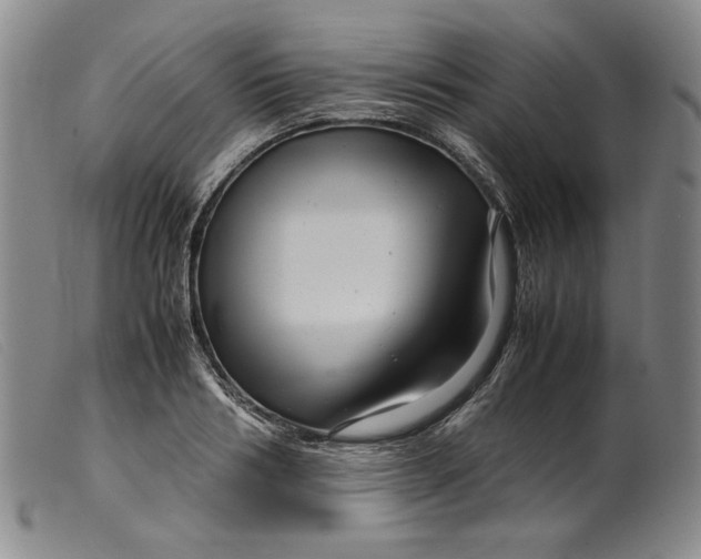 X0000099430986200805231649