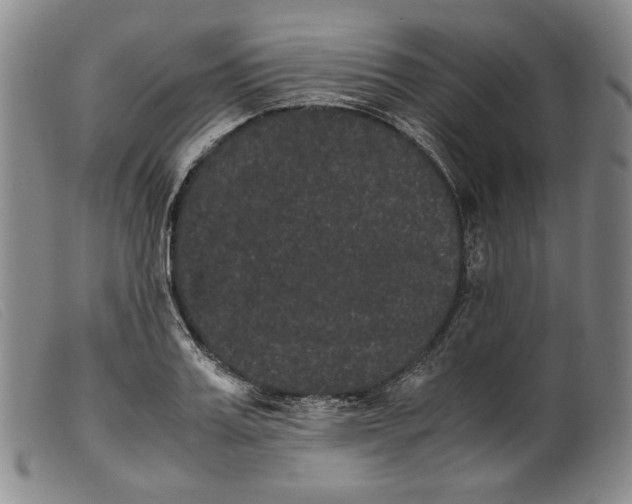 X0000099430987200805231649