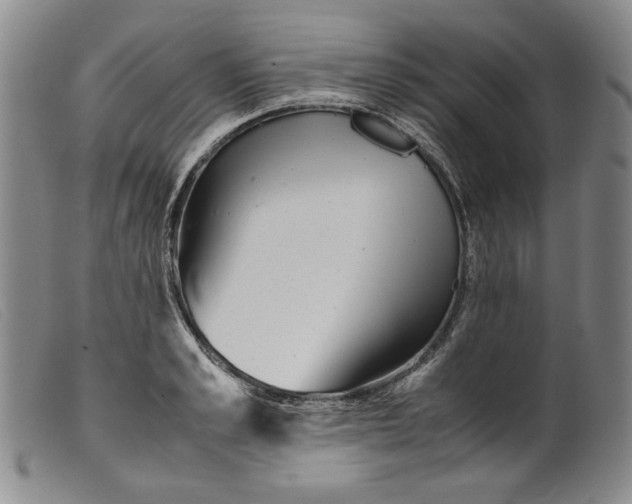 X0000099430989200805231649